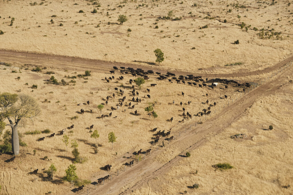 Australian Rangelands