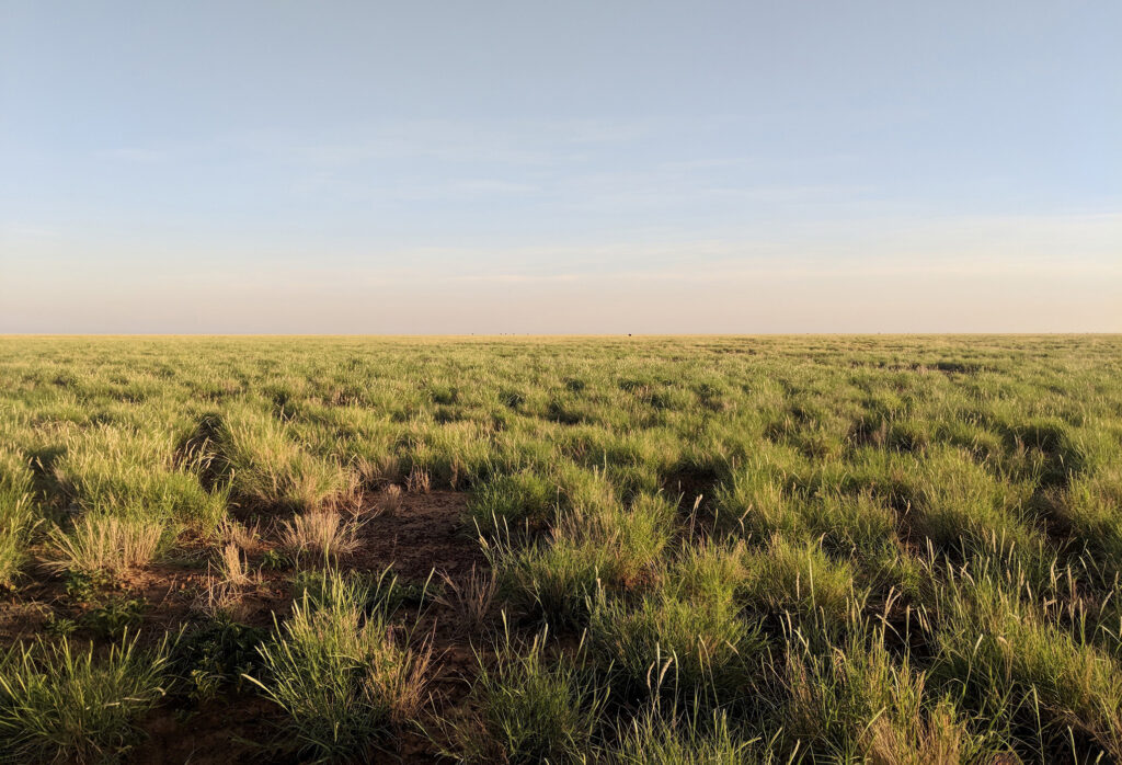 Australian Rangelands landscape