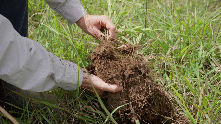 Soil inspection at Cheyenne property