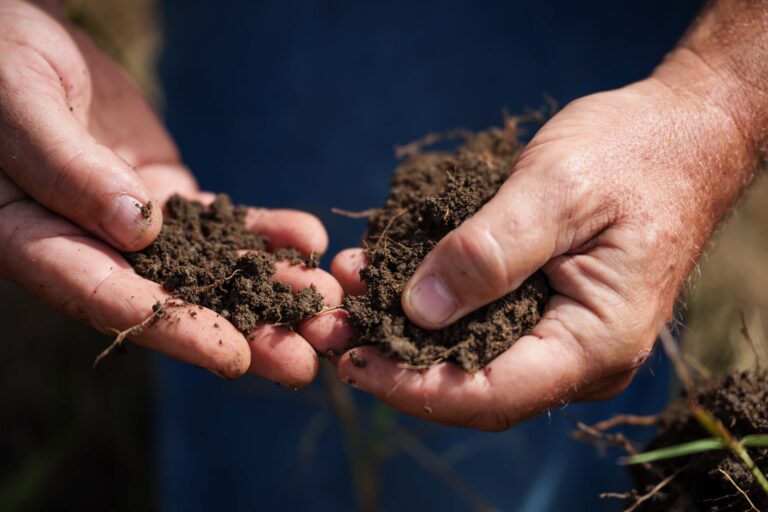 Soil in hands